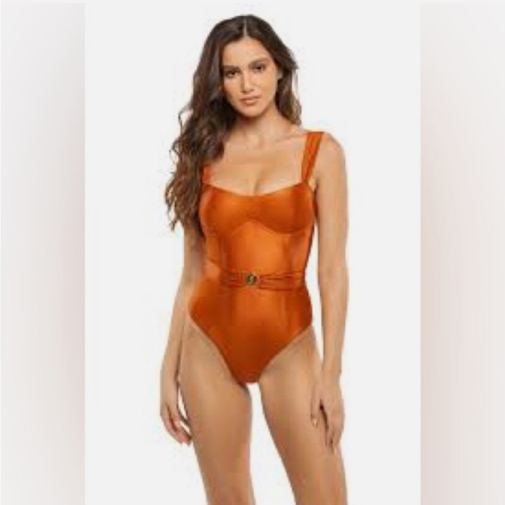 Devon Windsor Mille One Piece NWT
